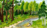 Поспішайте! Для малечі оголошено обласний конкурс дитячого малюнка «Ліс –  наше життя» – УЖЛІС – Ужгородське лісове господарство